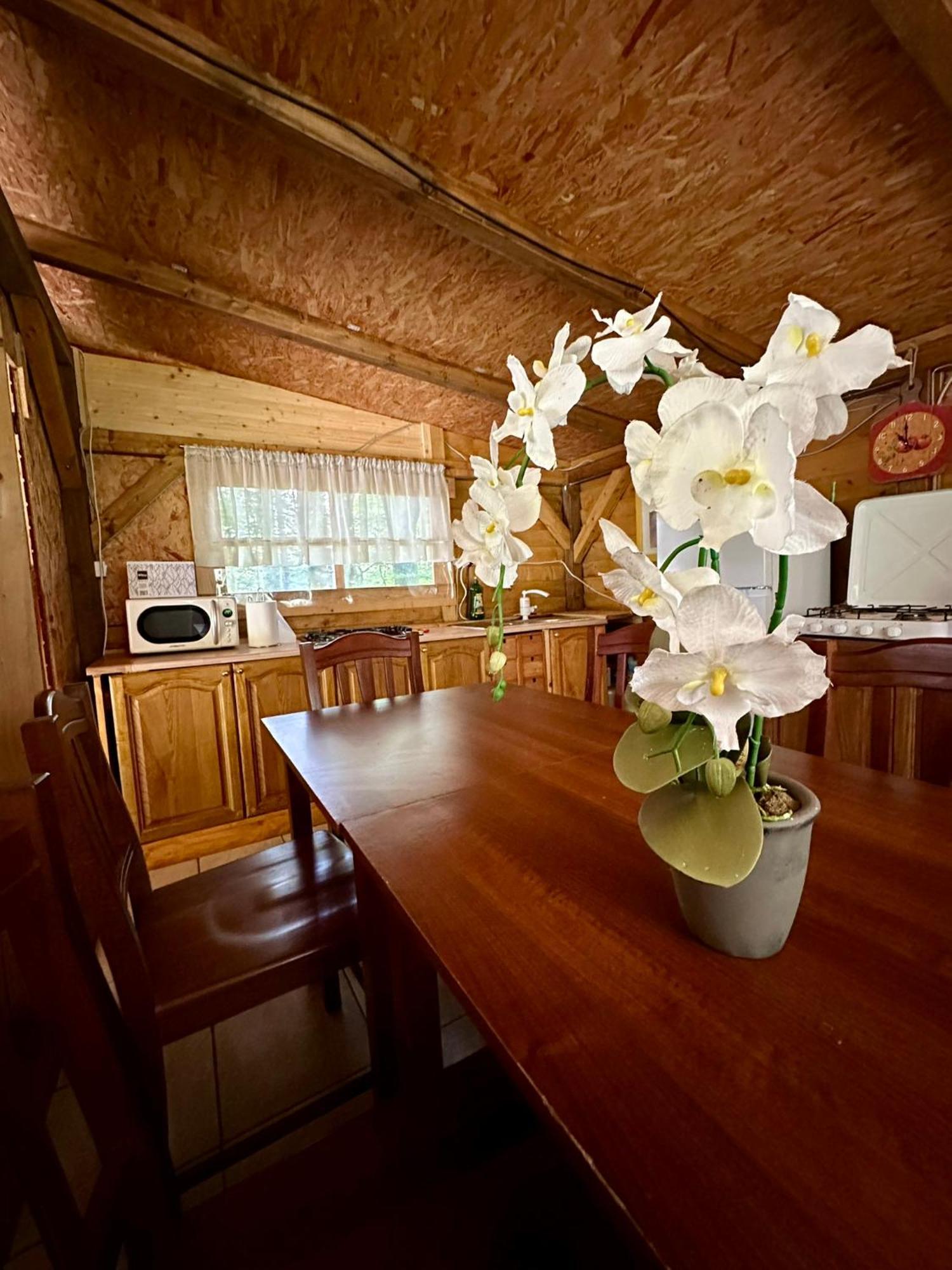 Hotel Glamping Krn Kobarid Exteriér fotografie